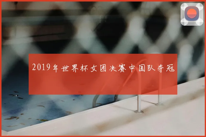 2019年世界杯女团决赛中国队夺冠
