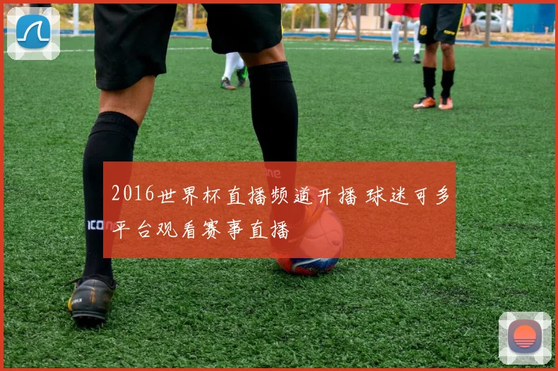 2016世界杯直播频道开播 球迷可多平台观看赛事直播