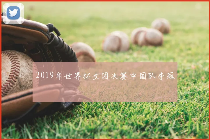 2019年世界杯女团决赛中国队夺冠
